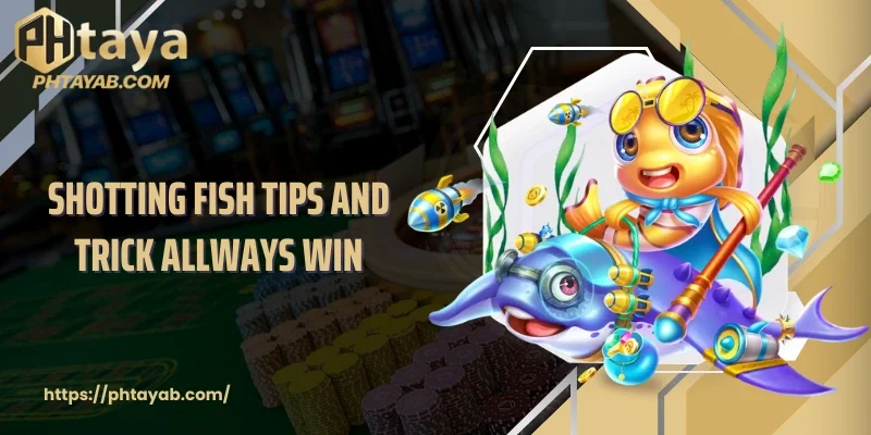 Shotting Fish Tips And Trick Allways Win