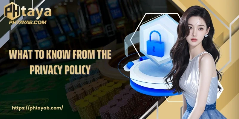 What to know from the privacy policy