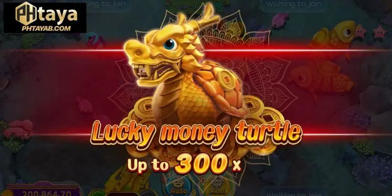 High-Value Targets and Visual Disruptions